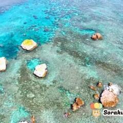 2025年6月下旬🏝️宮古島📷️ポートレート撮影モデル募集🎵の画像