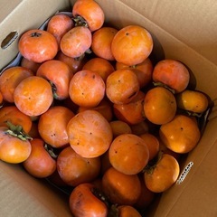 キャンセル一箱　柿みかん箱にいっぱい
