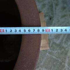 お値下げしました‼️カメ大  (中古品)の画像