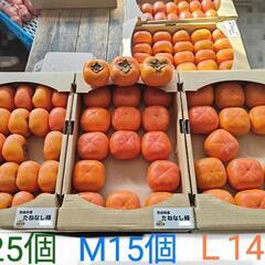 脱渋済　新潟産　平たね無し柿