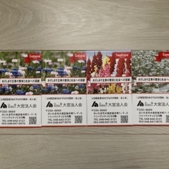 花の種 4袋