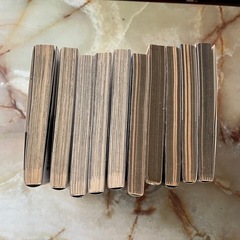 BLOOD➕1巻〜5巻とBLOOD A LOVE　1巻〜5巻のセットの画像