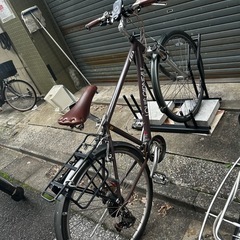 ルイガノ