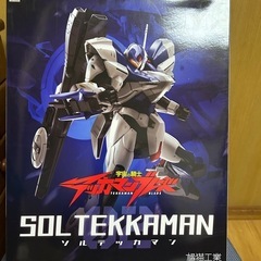 ソルテッカマン