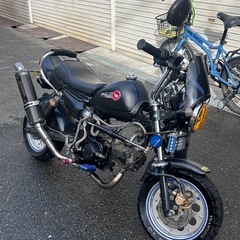 モンキーカスタム88CC
