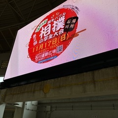 ふわふわバブル相撲大会　飛び入り参加OK