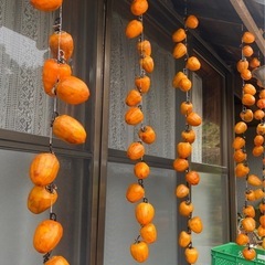 静岡県浜北　大平産　干し柿　渋柿　立石柿　吊るし柿　10kgの画像