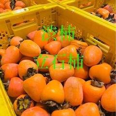 静岡県浜北　大平産　干し柿　渋柿　立石柿　吊るし柿　10kg