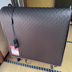 電動リクライニングベット