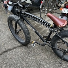 ビーチサイクルの画像