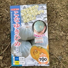 オクラ　かぼちゃの種の画像