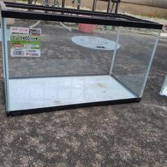☄️残り1台GEXガラス水槽値段交渉有り