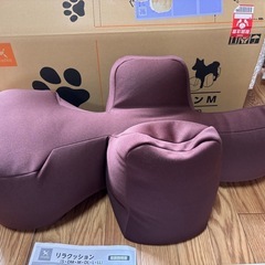 リラクッション犬の画像
