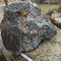 ナポレオン石の画像