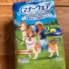 残り３０枚