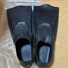 フィン
