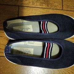 うち履き　20.0の画像