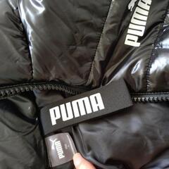 【決定】PUMAダウンジャケットの画像
