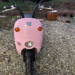 スズキ　チョイノリ　セル付きの画像