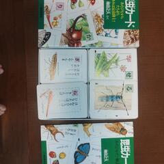 昆虫カード