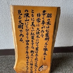 栃の木  樹齢450年　七葉樹　橡の木　木製置物 の画像
