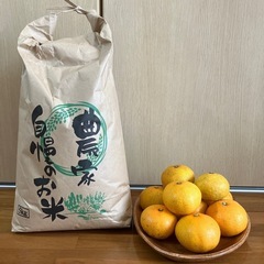 　(受付終了)熊本県産お米5kg