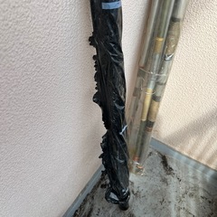 家庭種子　はちの画像