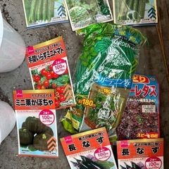 家庭種子　はちの画像