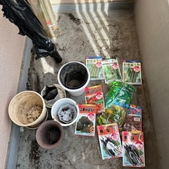 家庭種子　はちの画像