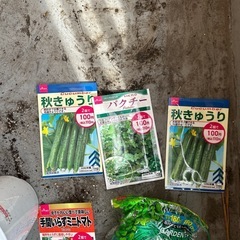 家庭種子　はちの画像