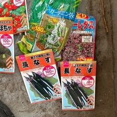 家庭種子　はちの画像