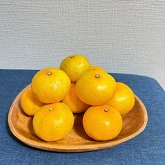 【指定の場所と時間で可能な方】熊本天草のみかん3キロ