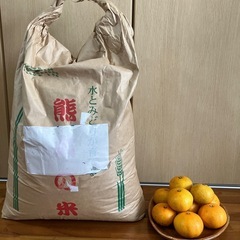 (受付終了)熊本県産　お米20kg