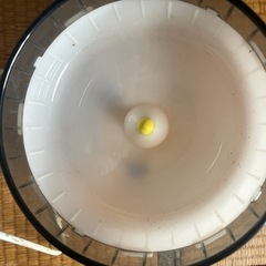 ハムスター飼育用品