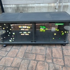 無料テレビ オーディオラック[21日16時受付終了]