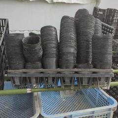 ★無料★好きなだけ　黒ポット3寸(9センチ)７０００個