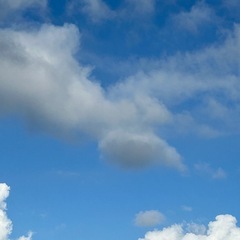 中高年の悩み相談
