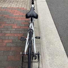 🚴カグラz1の画像