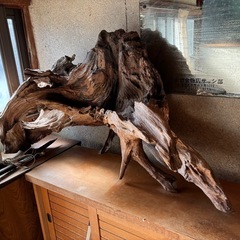 決まりました！流木 逸品 天然物 オブジェ 一点物