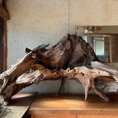流木　逸品　天然物　オブジェ　一点物