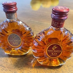 REMY MARTIN XO EXCELLENCE 50ml（レ...
