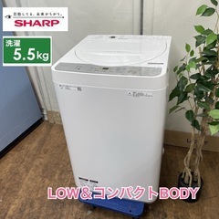 R418 🌈 SHARP 洗濯機 （5.5㎏） 19年製 ES-GE5C ⭐動作確認済⭐クリーニング済