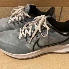 NIKE ナイキ　メンズ　ランニングシューズ　27センチ