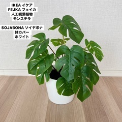 IKEA イケア フェイクグリーン  モンテスラ 観葉植物
