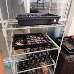 決まりました ガーデニング用 棚