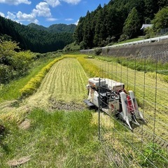 #米　#お米　キヌヒカリ　三重県名張市産　2024年9月収穫米