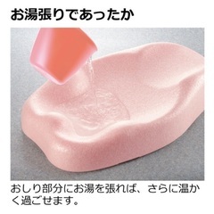 リッチェル ひんやりしないおふろマットの画像