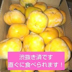 平柿　渋抜き済　直ぐに食べられます1個50円. 60個で2500...