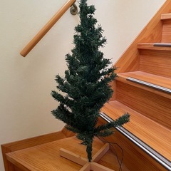 クリスマスツリー
