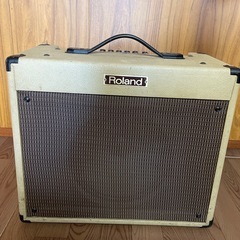 Roland BC-60 ローランド　ブルースキューブ　60w